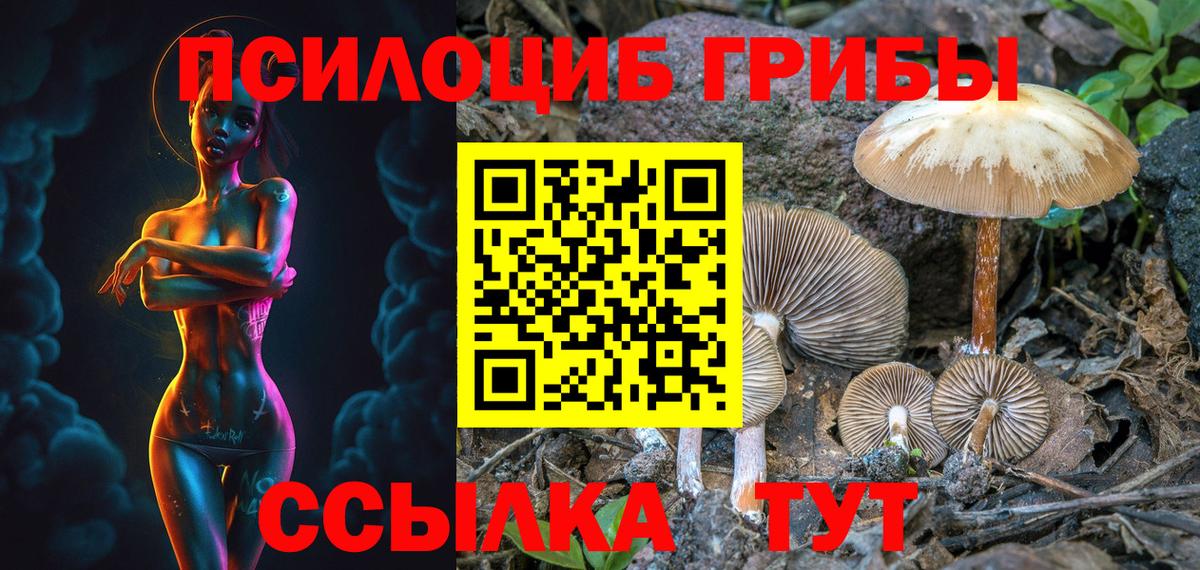 Псилоцибиновые грибы ЛСД  Вход с VPN  Славянск-на-Кубани 