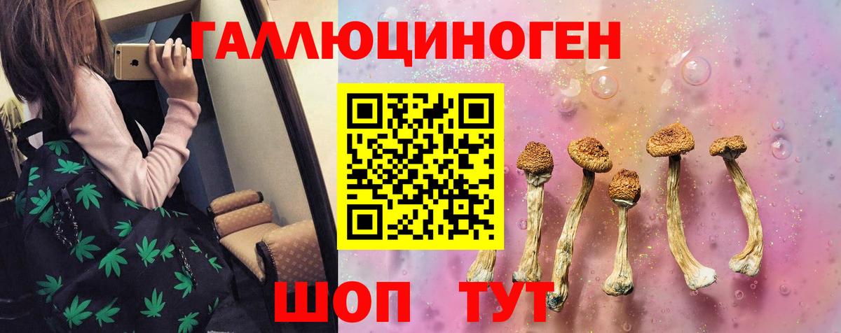 Псилоцибиновые грибы Psilocybe Славянск-на-Кубани